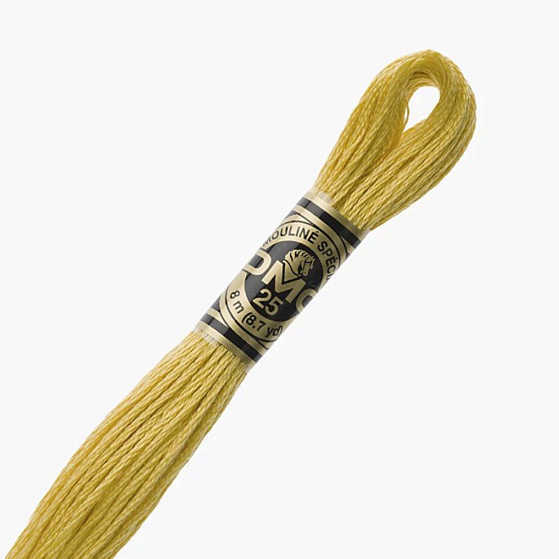 Tons de Amarelo DMC Amarelo 3821