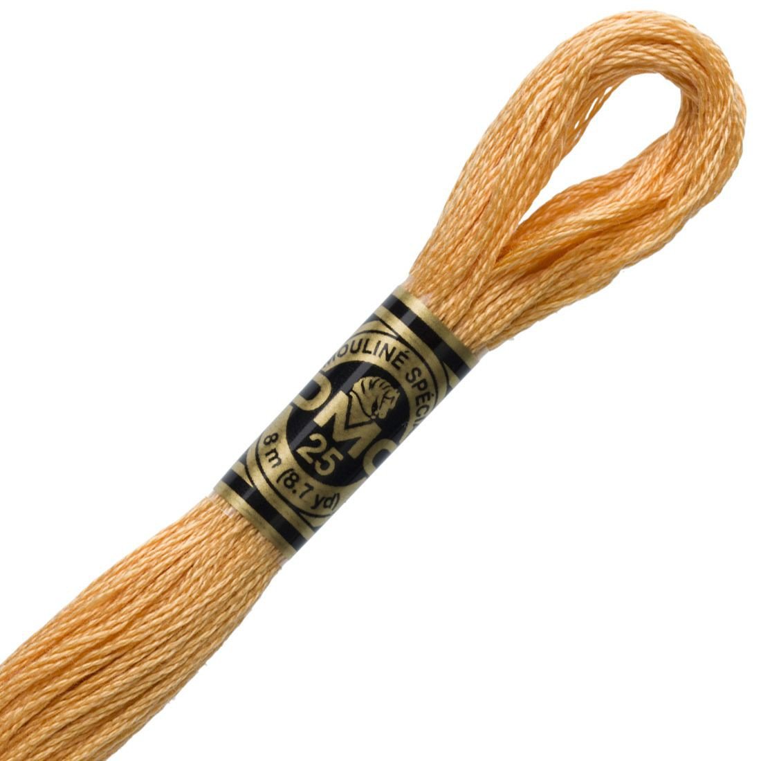 Linha de Bordado Mouline Tons de Laranja DMC Linha de Bordado